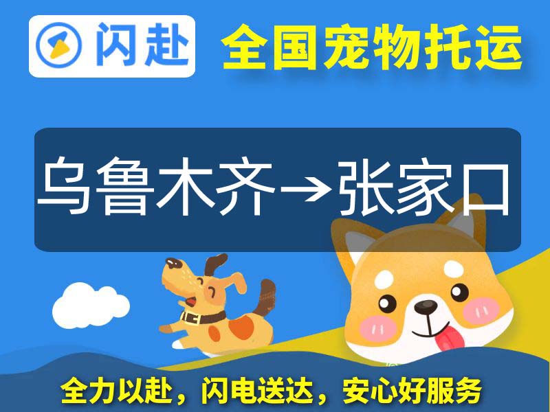 乌鲁木齐汽车托托运到张家口